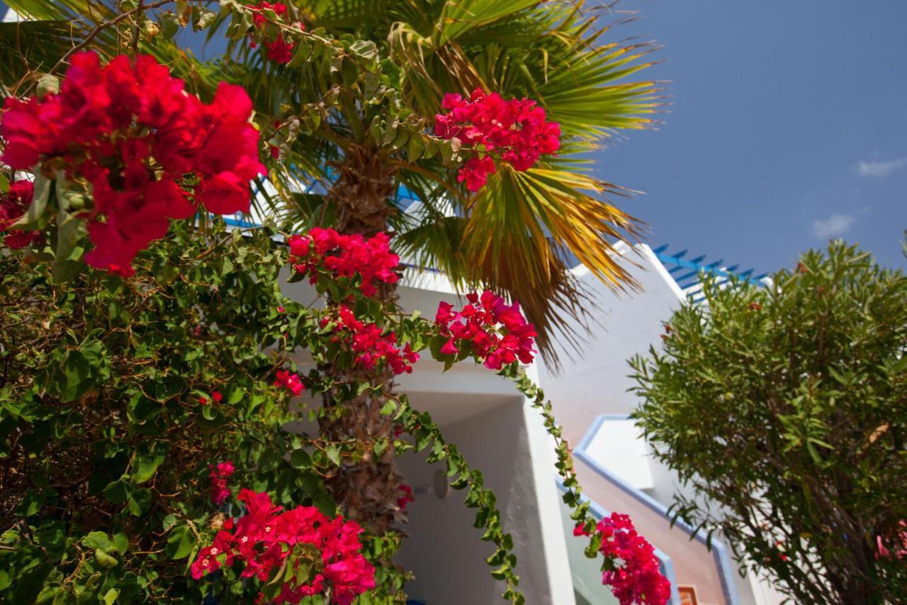 Apartamento Cinco Plazas Puerto del Carmen  Exterior foto